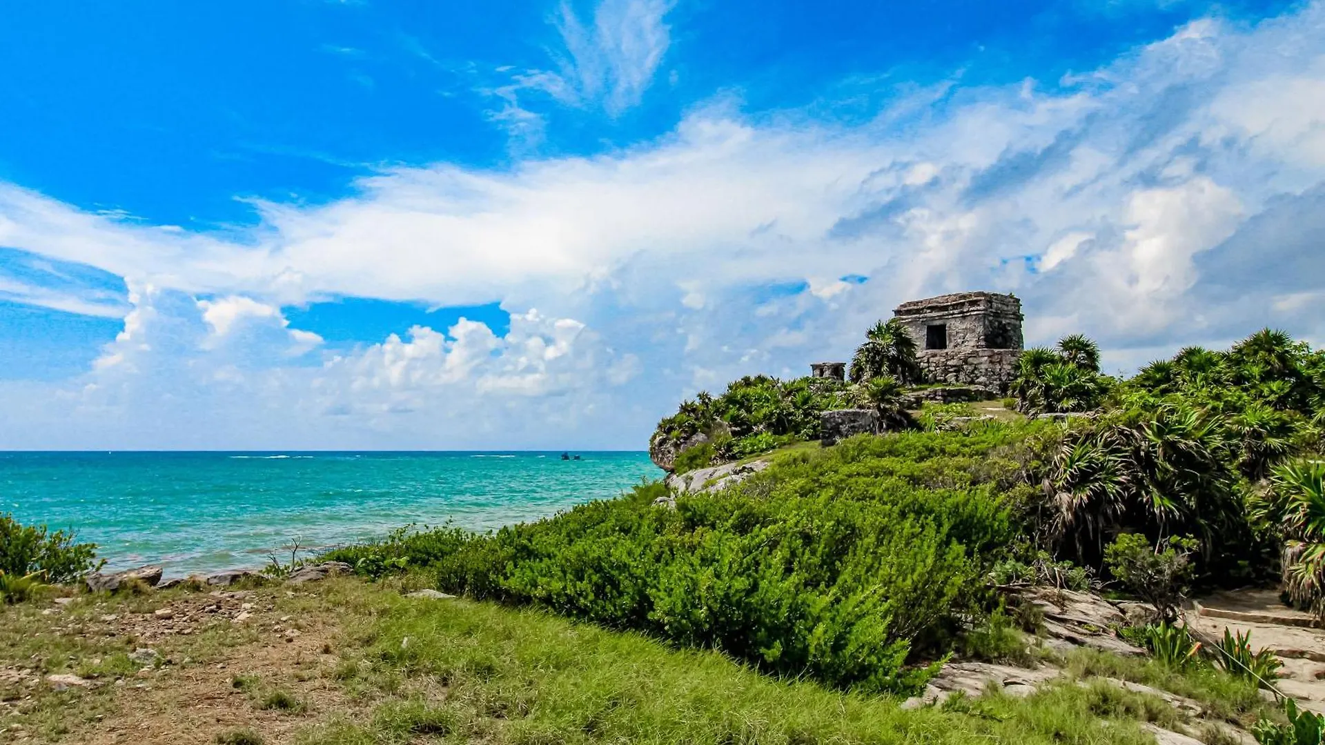 Casa Xila Torre Jungla 106 Lägenhet Tulum Mexiko
